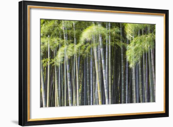 Japan, Kyoto, Arashiyama, Adashino Nenbutsu-Ji Temple-Jane Sweeney-Framed Photographic Print