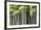 Japan, Kyoto, Arashiyama, Adashino Nenbutsu-Ji Temple-Jane Sweeney-Framed Photographic Print