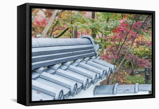 Japan, Kyoto, Autumn color at Eikando Temple-Rob Tilley-Framed Premier Image Canvas