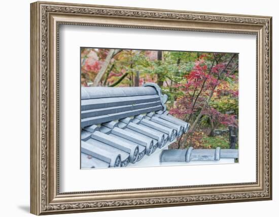 Japan, Kyoto, Autumn color at Eikando Temple-Rob Tilley-Framed Photographic Print