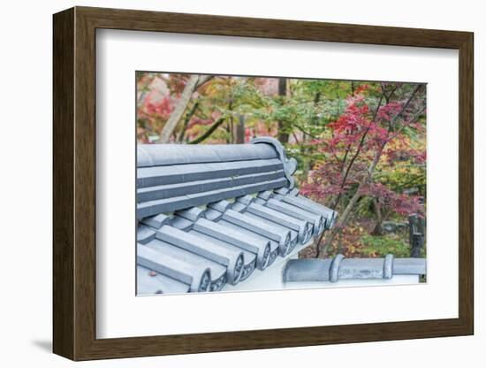 Japan, Kyoto, Autumn color at Eikando Temple-Rob Tilley-Framed Photographic Print