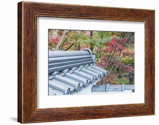 Japan, Kyoto, Autumn color at Eikando Temple-Rob Tilley-Framed Photographic Print