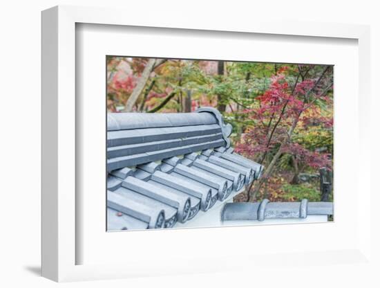 Japan, Kyoto, Autumn color at Eikando Temple-Rob Tilley-Framed Photographic Print