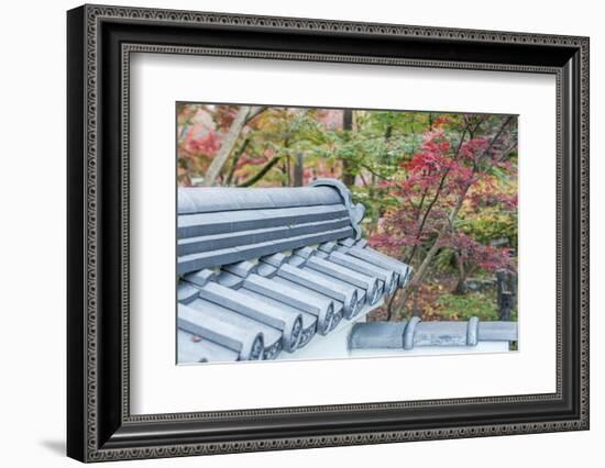 Japan, Kyoto, Autumn color at Eikando Temple-Rob Tilley-Framed Photographic Print