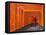 Japan, Kyoto, Fushimi Inari Taisha Shrine, Tunnel of Torii Gates-Steve Vidler-Framed Premier Image Canvas