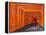 Japan, Kyoto, Fushimi Inari Taisha Shrine, Tunnel of Torii Gates-Steve Vidler-Framed Premier Image Canvas