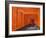 Japan, Kyoto, Fushimi Inari Taisha Shrine, Tunnel of Torii Gates-Steve Vidler-Framed Photographic Print