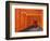 Japan, Kyoto, Fushimi Inari Taisha Shrine, Tunnel of Torii Gates-Steve Vidler-Framed Photographic Print