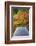 Japan, Kyoto, Ginkakuji Temple - a World Heritage Site, Sand Cone Named Moon Viewing Platform-Jane Sweeney-Framed Photographic Print