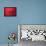 Japan, Kyoto, Higashiyama, Japanese Red Umbrella-Steve Vidler-Framed Premier Image Canvas displayed on a wall