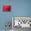 Japan, Kyoto, Higashiyama, Japanese Red Umbrella-Steve Vidler-Framed Premier Image Canvas displayed on a wall