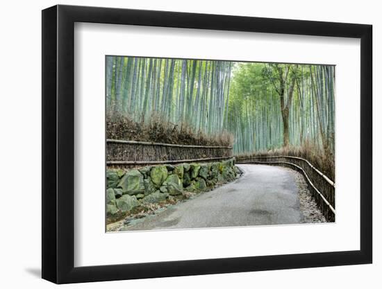 Japan, Kyoto. Road Through the Arashiyama Bamboo Grove-Jaynes Gallery-Framed Photographic Print