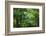 Japan Kyoto Tofuku-Ji Temple Maple Trees-Nosnibor137-Framed Photographic Print