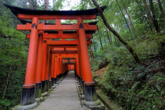 Japan Kyoto Torii Gates In The Fushimi Inari Taisha Shinto Shrine Photographic Print Dennis Flaherty Art Com Japan Kyoto Torii Gates In The Fushimi Inari Taisha Shinto Shrine Photographic Print Dennis Flaherty Art Com