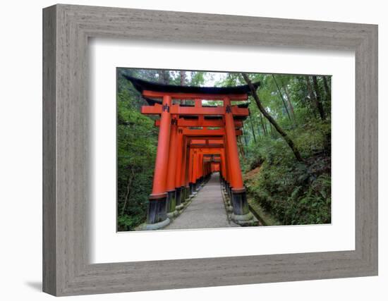 Japan, Kyoto. Torii Gates in the Fushimi-Inari-Taisha Shinto Shrine.-Dennis Flaherty-Framed Photographic Print