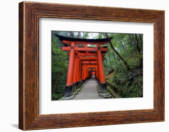 Japan, Kyoto. Torii Gates in the Fushimi-Inari-Taisha Shinto Shrine.-Dennis Flaherty-Framed Photographic Print