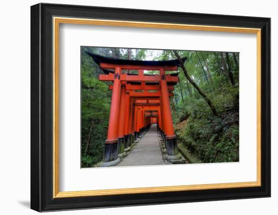 Japan, Kyoto. Torii Gates in the Fushimi-Inari-Taisha Shinto Shrine.-Dennis Flaherty-Framed Photographic Print