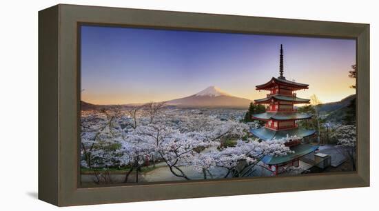 Japan, Yamanashi Prefecture, Fuji-Yoshida, Chureito Pagoda, Mt Fuji and Cherry Blossoms-Michele Falzone-Framed Premier Image Canvas