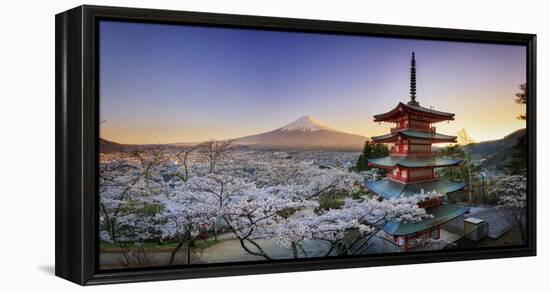 Japan, Yamanashi Prefecture, Fuji-Yoshida, Chureito Pagoda, Mt Fuji and Cherry Blossoms-Michele Falzone-Framed Premier Image Canvas