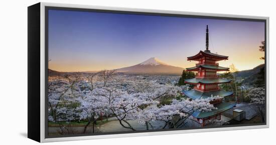 Japan, Yamanashi Prefecture, Fuji-Yoshida, Chureito Pagoda, Mt Fuji and Cherry Blossoms-Michele Falzone-Framed Premier Image Canvas