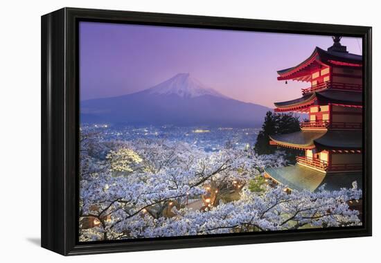 Japan, Yamanashi Prefecture, Fuji-Yoshida, Chureito Pagoda, Mt Fuji and Cherry Blossoms-Michele Falzone-Framed Premier Image Canvas