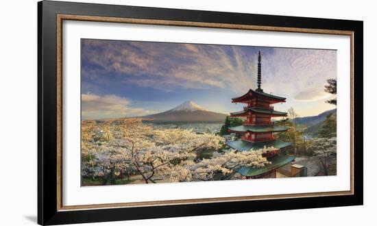 Japan, Yamanashi Prefecture, Fuji-Yoshida, Chureito Pagoda, Mt Fuji and Cherry Blossoms-Michele Falzone-Framed Photographic Print