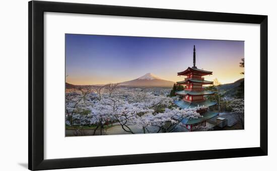 Japan, Yamanashi Prefecture, Fuji-Yoshida, Chureito Pagoda, Mt Fuji and Cherry Blossoms-Michele Falzone-Framed Photographic Print