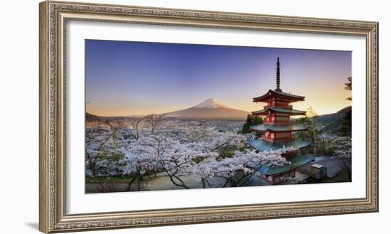 Japan, Yamanashi Prefecture, Fuji-Yoshida, Chureito Pagoda, Mt Fuji and Cherry Blossoms-Michele Falzone-Framed Photographic Print