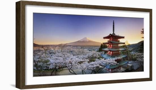 Japan, Yamanashi Prefecture, Fuji-Yoshida, Chureito Pagoda, Mt Fuji and Cherry Blossoms-Michele Falzone-Framed Photographic Print