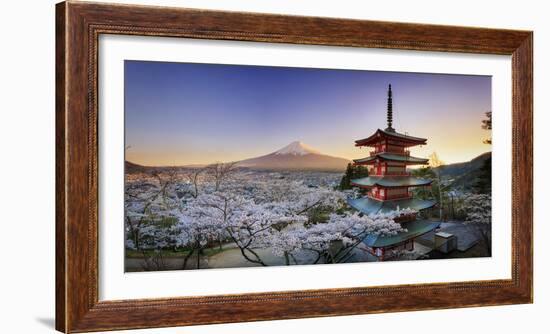 Japan, Yamanashi Prefecture, Fuji-Yoshida, Chureito Pagoda, Mt Fuji and Cherry Blossoms-Michele Falzone-Framed Photographic Print