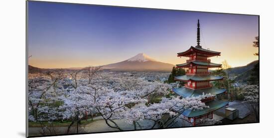 Japan, Yamanashi Prefecture, Fuji-Yoshida, Chureito Pagoda, Mt Fuji and Cherry Blossoms-Michele Falzone-Mounted Photographic Print