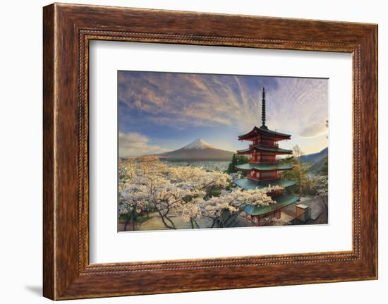 Japan, Yamanashi Prefecture, Fuji-Yoshida, Chureito Pagoda, Mt Fuji and Cherry Blossoms-Michele Falzone-Framed Photographic Print