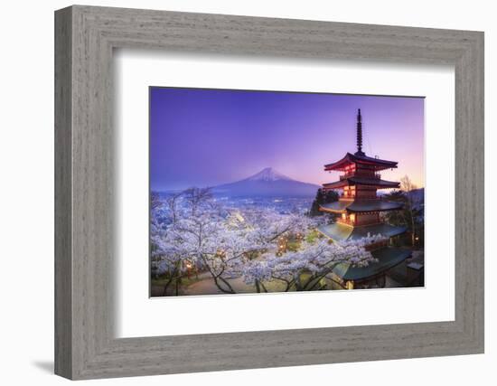 Japan, Yamanashi Prefecture, Fuji-Yoshida, Chureito Pagoda, Mt Fuji and Cherry Blossoms-Michele Falzone-Framed Photographic Print