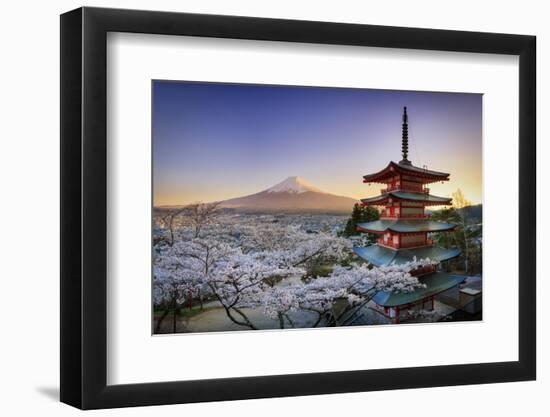 Japan, Yamanashi Prefecture, Fuji-Yoshida, Chureito Pagoda, Mt Fuji and Cherry Blossoms-Michele Falzone-Framed Photographic Print