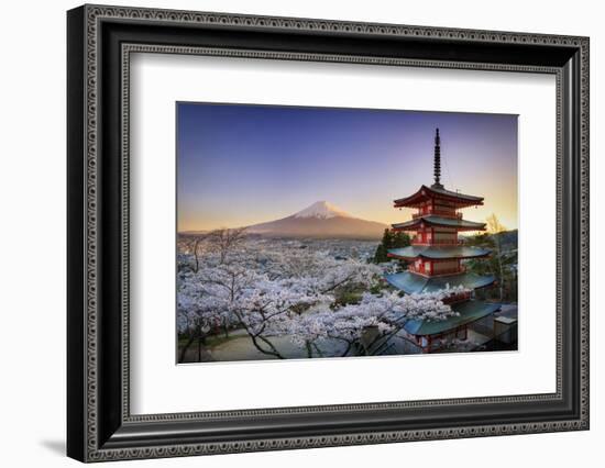 Japan, Yamanashi Prefecture, Fuji-Yoshida, Chureito Pagoda, Mt Fuji and Cherry Blossoms-Michele Falzone-Framed Photographic Print