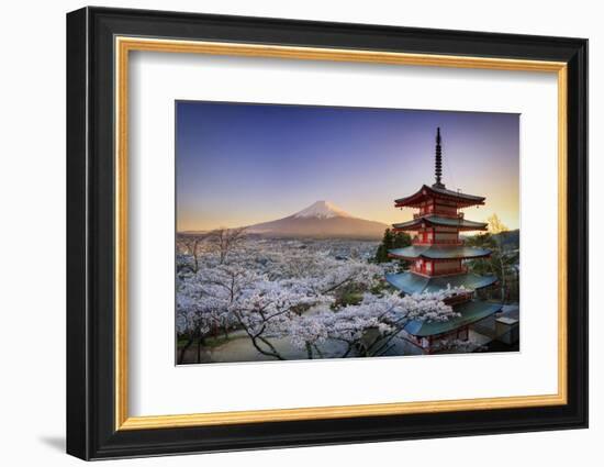 Japan, Yamanashi Prefecture, Fuji-Yoshida, Chureito Pagoda, Mt Fuji and Cherry Blossoms-Michele Falzone-Framed Photographic Print