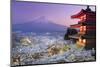 Japan, Yamanashi Prefecture, Fuji-Yoshida, Chureito Pagoda, Mt Fuji and Cherry Blossoms-Michele Falzone-Mounted Photographic Print