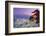 Japan, Yamanashi Prefecture, Fuji-Yoshida, Chureito Pagoda, Mt Fuji and Cherry Blossoms-Michele Falzone-Framed Photographic Print