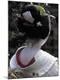 Premium Photographic Print
