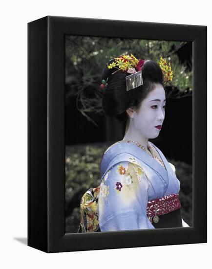 Japan-null-Framed Premier Image Canvas