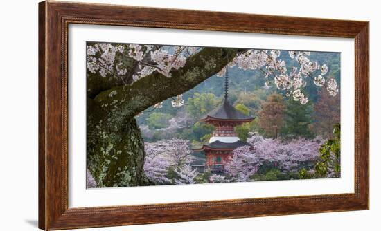 Japan-Art Wolfe-Framed Premium Photographic Print