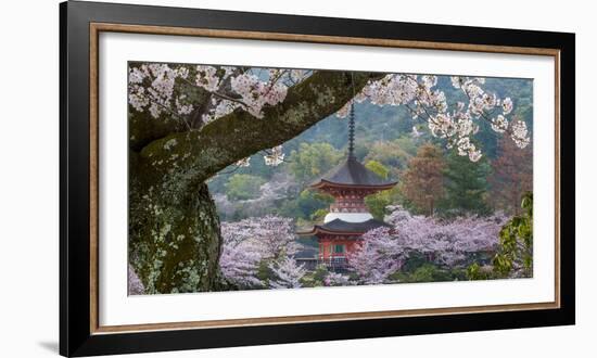 Japan-Art Wolfe-Framed Premium Photographic Print