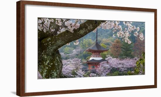 Japan-Art Wolfe-Framed Photographic Print