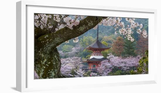 Japan-Art Wolfe-Framed Photographic Print