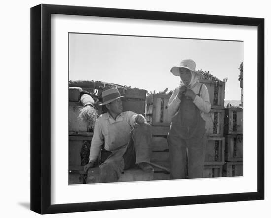Japanese agricultural workers in California, 1937-Dorothea Lange-Framed Photographic Print