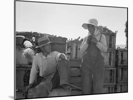 Japanese agricultural workers in California, 1937-Dorothea Lange-Mounted Photographic Print