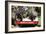 Japanese Akita 20-Bob Langrish-Framed Photographic Print