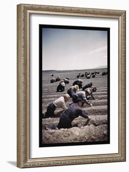 Japanese-American Camp, War Emergency Evacuation-Russell Lee-Framed Art Print