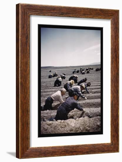 Japanese-American Camp, War Emergency Evacuation-Russell Lee-Framed Art Print