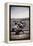 Japanese-American Camp, War Emergency Evacuation-Russell Lee-Framed Stretched Canvas